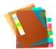 Plastic File Separators 10 Insertable tab Sheets