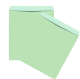Cloth Envelopes Green Line Courier Cover 10X12