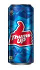 Thums Up Soft Drink, 300 ml Can