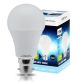 LED Bulb (12 V)
